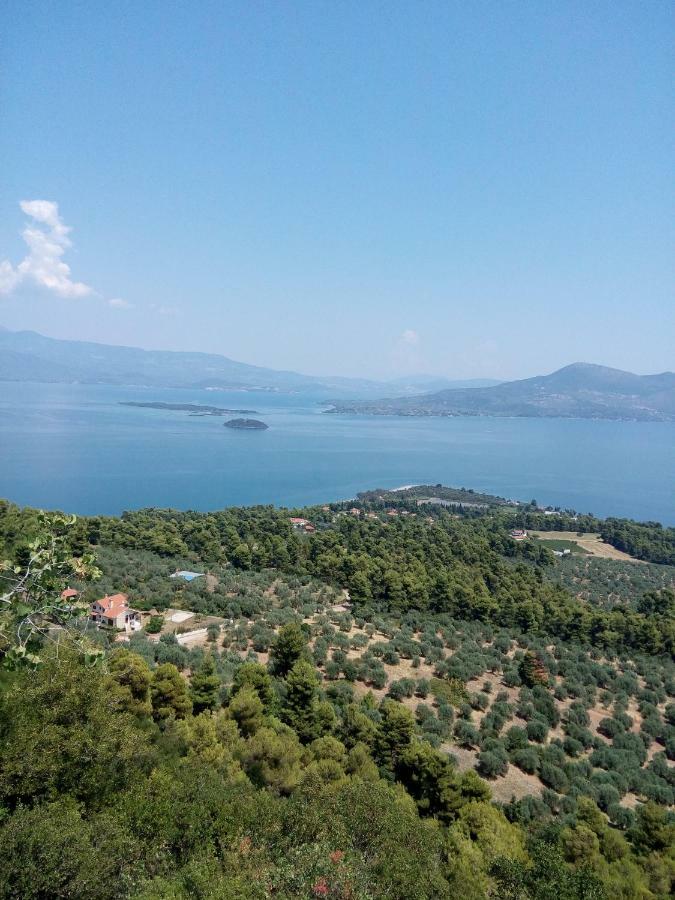 Anastasia - Efthimios Apartments Agios Konstantinos  Buitenkant foto
